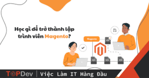 Magento Developer là gì? Học gì để trở thành lập trình viên Magento