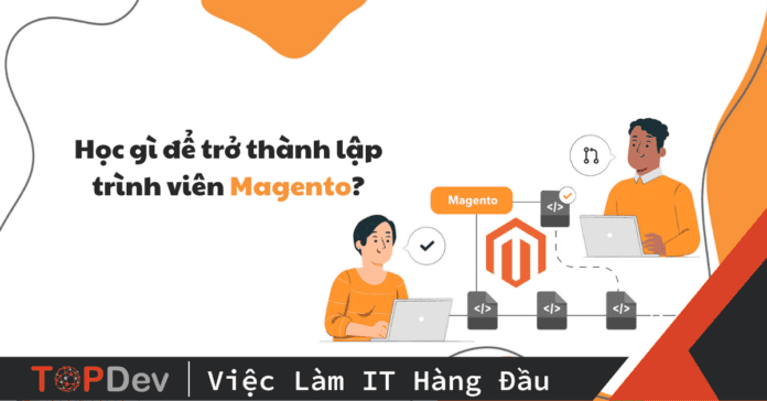 Magento Developer là gì? Học gì để trở thành Magento Developer?