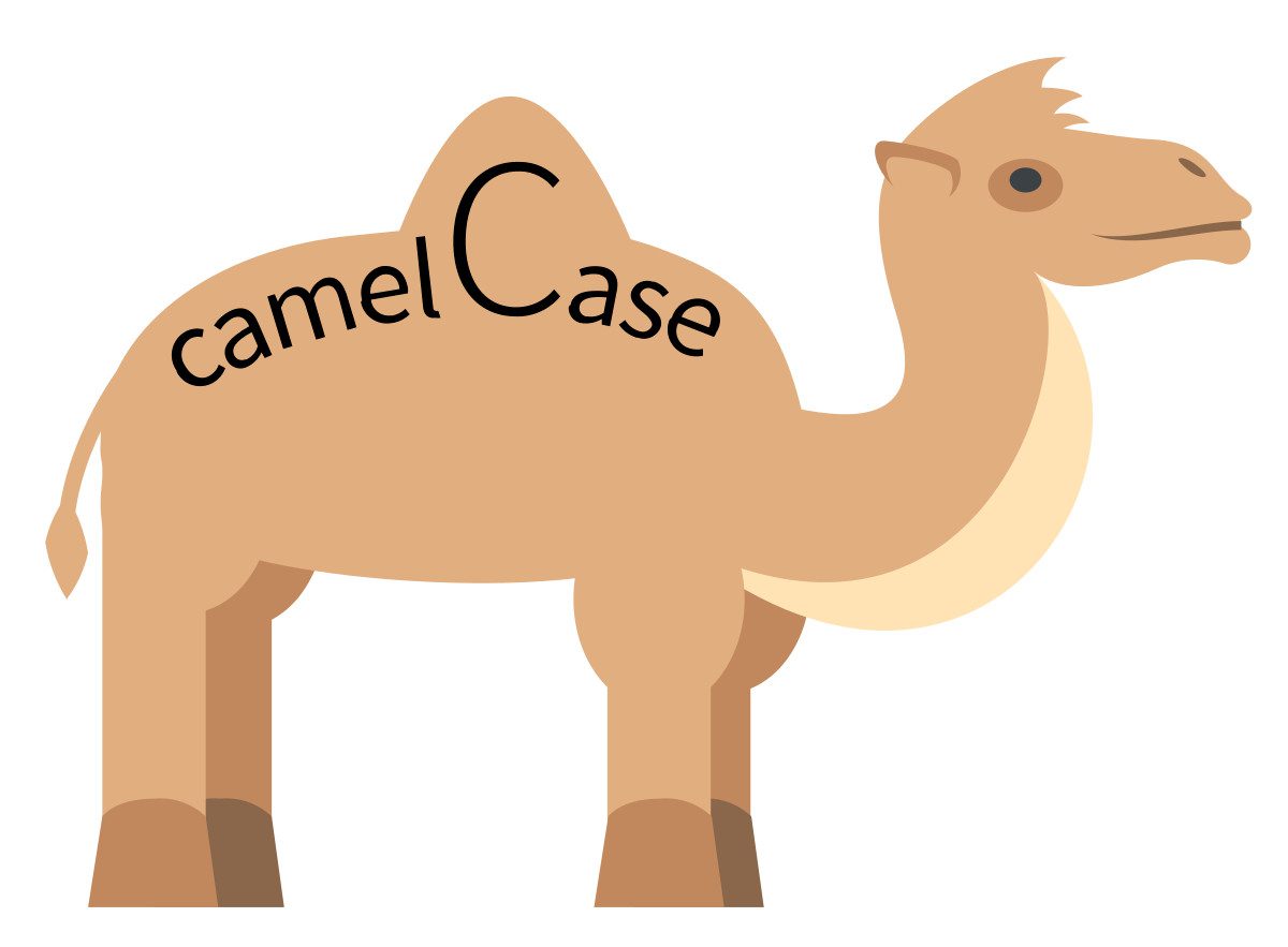 Cammel Case