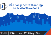 SharePoint Developer