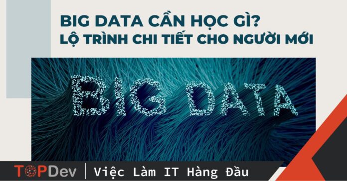 Big Data cần học gì? Bắt đầu đâu? Lộ trình chi tiết cho người mới