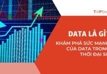 Data là gì