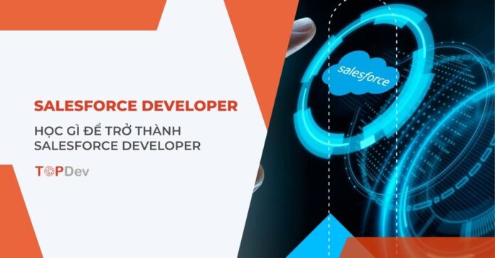 Salesforce Developer là gì?
