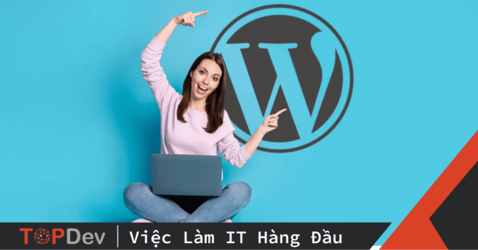 Giải nghĩa các thuật ngữ phổ biến trong wordpress