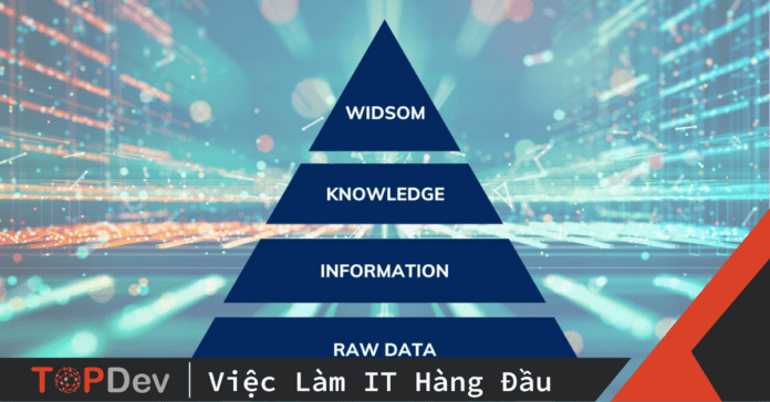 Kim tự tháp dữ liệu