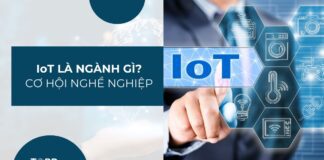 IoT là ngành gì