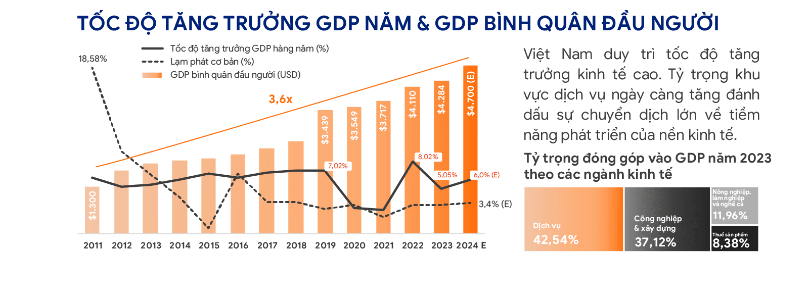 Báo cáo Thị trường IT Việt Nam 2024