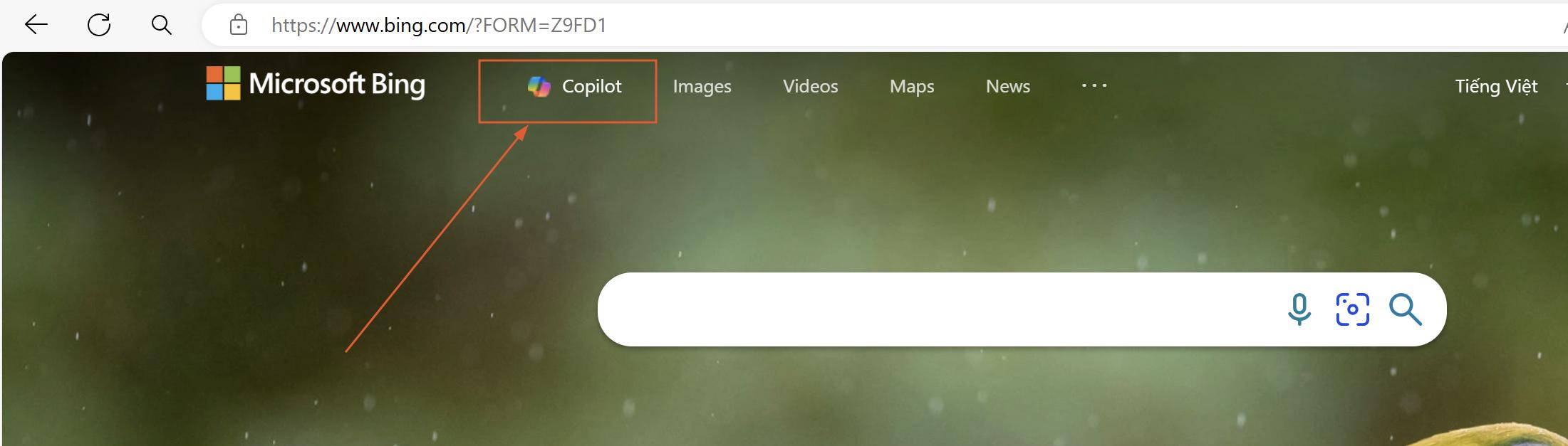 Copilot trong Bing Search