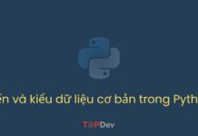 Biến và kiểu dữ liệu cơ bản trong Python