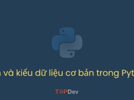 Biến và kiểu dữ liệu cơ bản trong Python