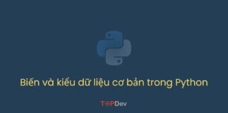 Biến và kiểu dữ liệu cơ bản trong Python