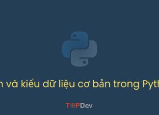 Biến và kiểu dữ liệu cơ bản trong Python