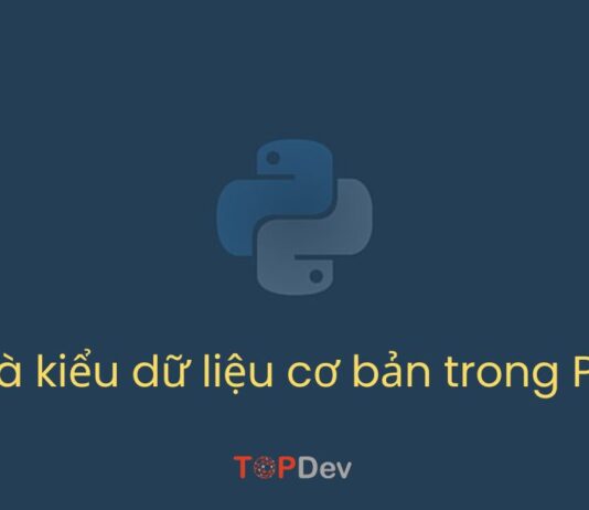 Biến và kiểu dữ liệu cơ bản trong Python