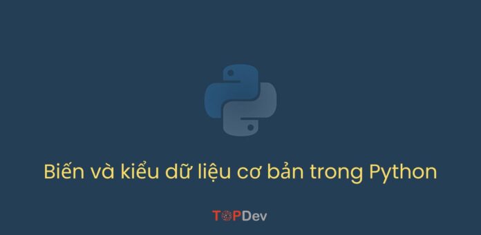 Biến và kiểu dữ liệu cơ bản trong Python