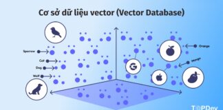 Cơ sở dữ liệu vector (Vector Database)