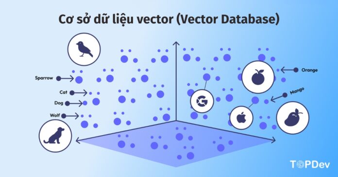 Cơ sở dữ liệu vector (Vector Database)