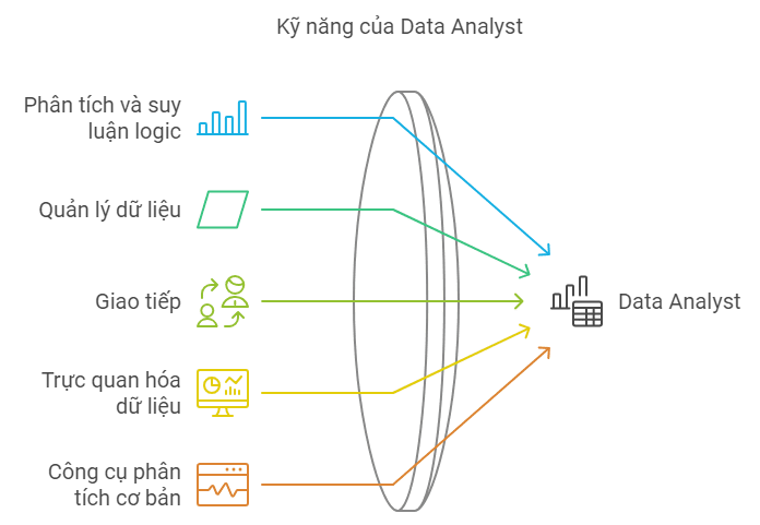 Data Analyst