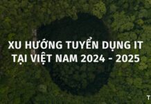 Xu hướng tuyển dụng IT tại Việt Nam 2024 -2025