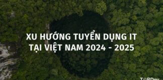 Xu hướng tuyển dụng IT tại Việt Nam 2024 -2025