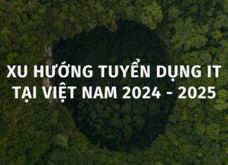 Xu hướng tuyển dụng IT tại Việt Nam 2024 -2025