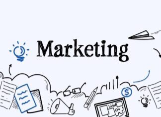 Thị trường tuyển dụng Marketing 2025: Cơ hội nào cho sinh viên mới ra trường?