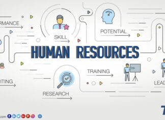 HR Tổng Hợp, Tuyển Dụng hay C&B – Bạn Phù Hợp Với Mảng Nào Nhất?