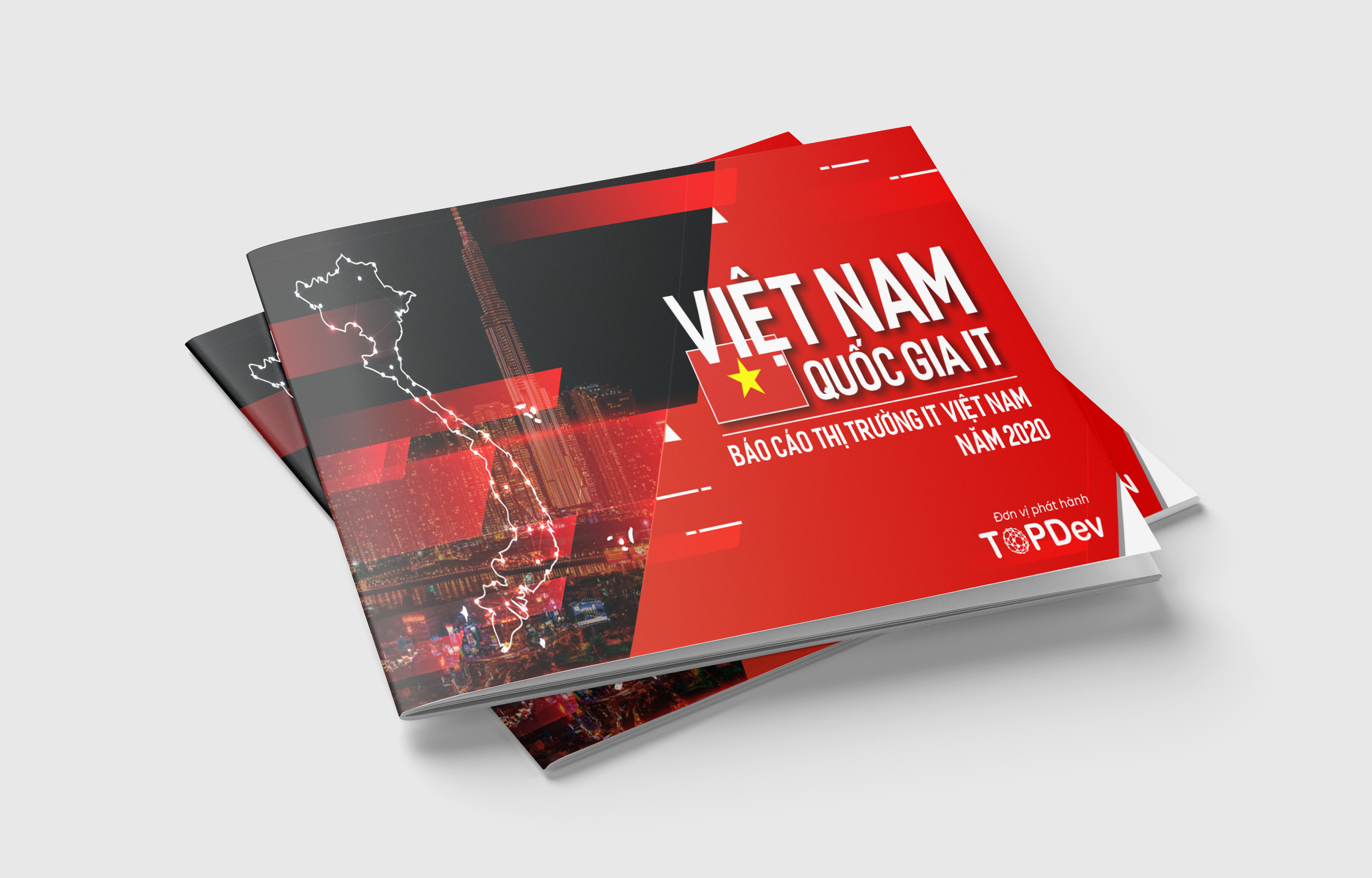 Báo cáo thị trường IT & nhân lực IT Việt Nam